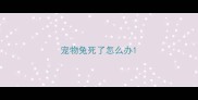 宠物兔死了怎么办
