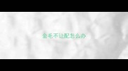 金毛不让配怎么办
