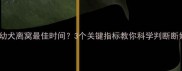 金毛幼犬离窝最佳时间3个关键指标教你科学判断断奶期