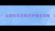 边牧尾巴毛多毛少怎么办边境牧羊犬尾巴护理全攻略附健康隐患与护理技巧