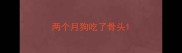 两个月狗吃了骨头