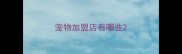 宠物加盟店有哪些