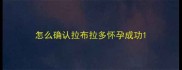 怎么确认拉布拉多怀孕成功