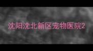 沈阳沈北新区宠物医院
