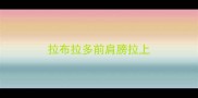拉布拉多前肩膀拉上