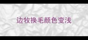 边牧换毛颜色变浅