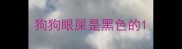 狗狗眼屎是黑色的