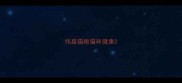 伟嘉猫粮猫咪健康