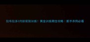 拉布拉多3月龄前别训练黄金训练期全攻略新手养狗必看