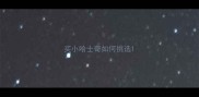 买小哈士奇如何挑选