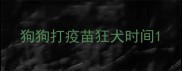 狗狗打疫苗狂犬时间
