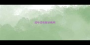 成年边牧能训练吗
