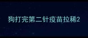 狗打完第二针疫苗拉稀