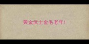 黄金武士金毛老年