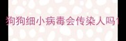 狗狗细小病毒会传染人吗