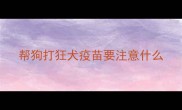 帮狗打狂犬疫苗要注意什么