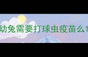 幼兔需要打球虫疫苗么