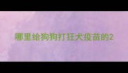 哪里给狗狗打狂犬疫苗的