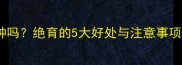 公泰迪必须配种吗绝育的5大好处与注意事项养狗人必看