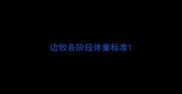 边牧各阶段体重标准