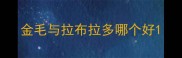 金毛与拉布拉多哪个好
