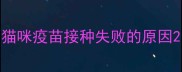 猫咪疫苗接种失败的原因