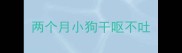 两个月小狗干呕不吐