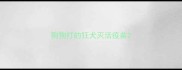 狗狗打的狂犬灭活疫苗