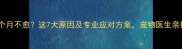 狗狗抽搐半个月不愈这7大原因及专业应对方案宠物医生亲授急救指南
