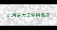北京最大宠物用品店