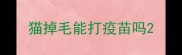 猫掉毛能打疫苗吗