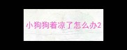 小狗狗着凉了怎么办