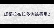 成都拉布拉多训练费用