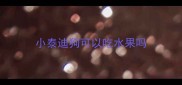 小泰迪狗可以吃水果吗