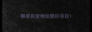 哪里有宠物加盟好项目