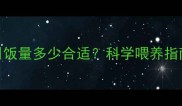 拉布拉多犬每日饭量多少合适科学喂养指南与常见误区全