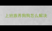 上班族养狗狗怎么解决