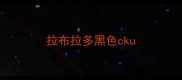 拉布拉多黑色cku