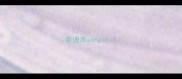 泰迪串songshi