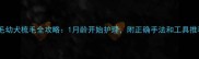 金毛幼犬梳毛全攻略1月龄开始护理附正确手法和工具推荐