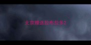 北京赠送拉布拉多