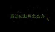 泰迪皮肤痒怎么办