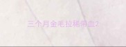 三个月金毛拉稀带血