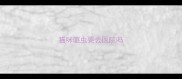 猫咪驱虫要去医院吗