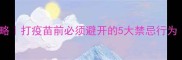猫咪疫苗前后护理全攻略打疫苗前必须避开的5大禁忌行为附疫苗后护理清单