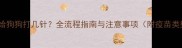 进口疫苗给狗狗打几针全流程指南与注意事项附疫苗类型对比