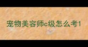 宠物美容师c级怎么考