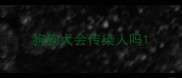 狗狗犬会传染人吗