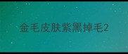 金毛皮肤紫黑掉毛