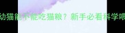 1个月大的幼猫能不能吃猫粮新手必看科学喂养指南